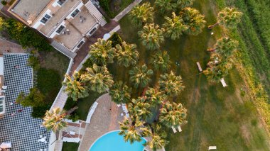 Bereketli yeşil palmiye ağaçları, güneşli şezlonglar ve insansız hava aracı tarafından yakalanan tropik bir tatil köyünde yüzme havuzunun yakınındaki manikürlü çimenler.