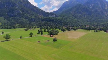 Uzak Neuschwanstein Şatosu ve Alpleri olan tarım arazisi ve ormanın hava görüntüleri. 