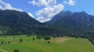 Neuschwanstein Şatosu 'nun insansız hava aracı videosu Bavyera' daki dağ zeminli Alp ormanlarına yerleştirilmiş. 