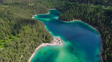 Turkuaz gölü, kumlu kıyı şeridi ve parlak yaz güneşi altında sık ve yeşil bir orman.