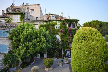 Saint Paul de Vence Fransa 'daki geleneksel taş evleri kaplayan yeşil sarmaşık ve çiçekler