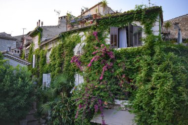 Saint Paul de Vence Provence 'de sarmaşık ve çiçeklerle kaplı geleneksel taş ev