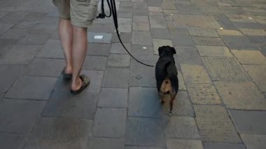 # Kapatın bacaklarınızı ve yazın evcil hayvanlarınızı #