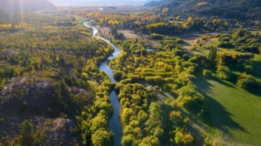 Ağaçların arasından akan bir nehrin havadan görünümü.