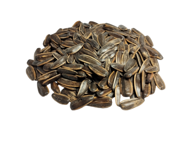 Bir grup izole ayçiçeği tohumu. Geçmişi yok. İnsanlar tarım ürünü değil. 