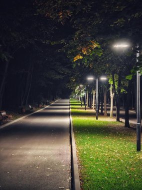 Alacakaranlıkta, asfalt yolunu aydınlatan yumuşak fener ışığıyla sakin bir park yolu. Her iki taraftaki ağaçlar gölgeler oluşturuyor ve sahneye gizemli bir hava katıyor..