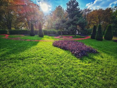 Sonbaharda, güneş ışığının ağaç dallarının arasından süzülüp yeşil çimlerin üzerine ışık ve gölge saçtığı rahat bir park köşesi. Parlak kırmızı çiçekler ve yeşil çimlerle kontrastlı çalılar..