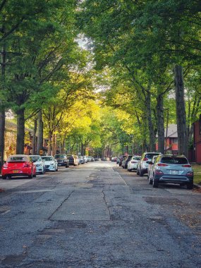 Ağaçlarla ve park edilmiş arabalarla kaplı geniş bir caddesi olan klasik bir Amerikan manzarası. Sonbahar yaprakları, sokakları sıcak altın tonlarıyla boyar, rahat ve huzurlu bir atmosfer yaratır..