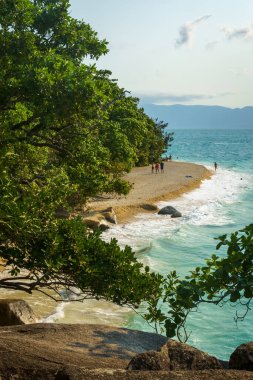 Fitzroy Adası ve bağlantılı tatil beldesi Queensland 'da önemli bir turizm merkezidir. Plajlar mercanları ve kumsaldan yüzme yetenekleri ile ünlüdür..