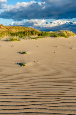 Kumsaldaki kumlarda dalgalanmalar. St. Helens Point Koruma Alanı Dianas Havzası bu noktada denize açılıyor. Kampçılar arasında popülerdir..