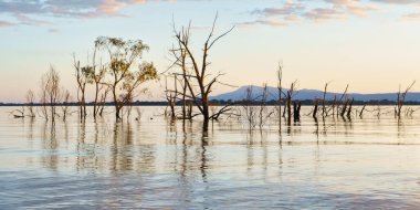 Victoria 'daki Lonsdale Gölü' nün sularına bakan ölü ağaçların yansımaları sakin sahneyi yansıtıyor. Yumuşak ışık, suyun ve uzak dağların üzerinde ılık bir parıltı yayar..