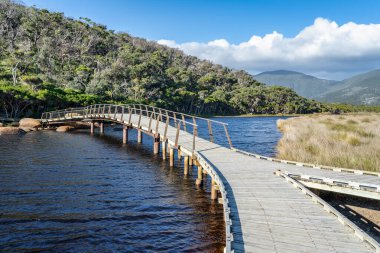 Manzaralı bir tahta köprü Wilsons Promontory 'deki gelgit nehrini kapsar. Köprü durgun suyun üzerinde kavis çiziyor, kıyı şeridini diğer tarafa bağlıyor.