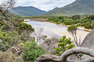 Manzaralı bir tahta köprü gelgit nehri boyunca uzanır, yemyeşil ve yuvarlanan tepelerin arasında bir yol sunar. Köprü durgun suyun üzerinde kavis çiziyor, kıyı şeridini diğer tarafa bağlıyor.