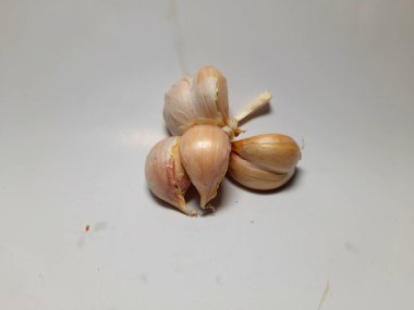 Bir salyangozun yakın çekim görüntüsü