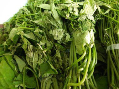 Genç bir ıspanağın yeşil yaprakları.