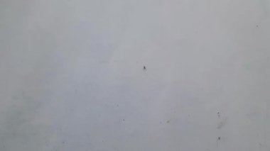 beyaz duvar dokusu arkaplanı