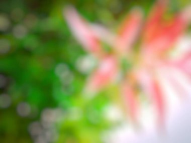 Bulanık renk ışıklarıyla soyut arkaplan