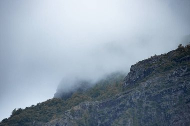 Mauritius 'taki Le Morne Brabant dağının kayalık yamaçlarını ve orman sırtlarını kaplayan sis gizemli ve karamsar bir manzara yaratır.