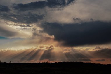 Alışılmadık ve büyüleyici memeli bulutları, siyah ve beyaza vurulan çıplak ağaç dallarının üzerinde, gökte asılıdır. Bu nadir görülen atmosferik fenomen, sahneye olağanüstü hava şartları kavramları için mükemmel bir gerçeküstü, kasvetli ton verir.