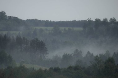 Yağmurlu bir günde, ormanlık tepeler ve uzak çayırlar üzerinde usulca yükselen sisli bir manzara. Yeşil ve gri katmanlar puslu atmosfere karışıp doğanın kalbindeki huzurlu ve melankolik havayı yakalıyorlar..