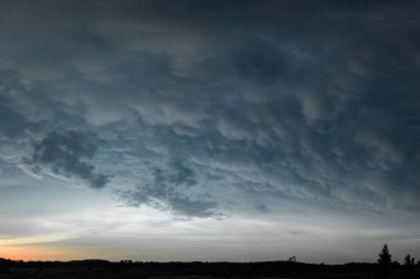 Karanlık bir orman siluetinin üzerinde, akşam gökyüzü boyunca uzanan çarpıcı bir memeli bulutu gösterisi. Gün batımında yakalanan, dalgalanan, keseye benzeyen yapılar atmosferde büyüleyici bir desen oluşturur.