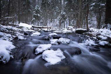 Huzurlu bir orman nehri karlı bir arazide akar. Buzlu su, parlak karla kaplı kayaların üzerinde çağlar. Çıplak ağaçlar ve karla kaplanmış Evergreen 'ler arkalarında yükselirler, sakin ve dalgın bir kış manzarası yaratırlar..