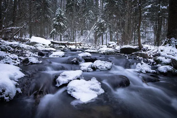 Huzurlu bir orman nehri karlı bir arazide akar. Buzlu su, parlak karla kaplı kayaların üzerinde çağlar. Çıplak ağaçlar ve karla kaplanmış Evergreen 'ler arkalarında yükselirler, sakin ve dalgın bir kış manzarası yaratırlar..