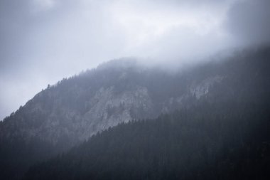 Kara çam ormanları kayalık kayalıklara doğru sessizce yükselirken, bir dağ manzarası kalın bir buza dönüşür. Atmosfer sakin, melankolik ve gizemli, bulutlar ağaçların tepeleriyle birleşirken.