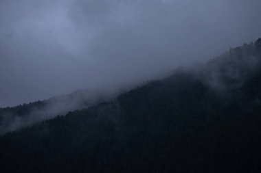 Yoğun bir orman tepesi alacakaranlığın loş ışığı altında sise dönüşür. Alçak asılı bulutlar tepeyi sarar, yeryüzü ve gökyüzü arasındaki sınırı bulanıklaştırır sakin ve rahatsız edici bir sessizlikle..