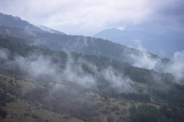 Hassas sis ormanlık dağ yamaçlarında sürüklenir, vadide kıvrılır ve ağaçlar yumuşak, kıvrımlı bir hareketle hareket eder. Manzara sakinlik ve gizemi çağrıştırıyor. Manzara sislerin ardında kısmen kayboluyor..