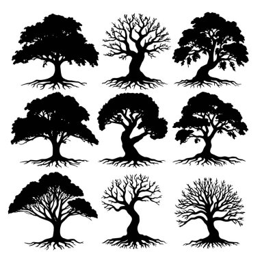 Geniş dalları olan görkemli bir meşe ağacının silueti, doğadan esinlenilmiş tasarımlar ve sanatsal projeler için mükemmel..