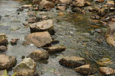 Düz kayaların üzerinden akan sakin bir doğal akıntı huzurlu ve ferahlatıcı bir manzara yaratıyor. Su, taşların ve yosunların dokusunu vurgulayarak doğal ışığı yansıtır. Tam oldu.