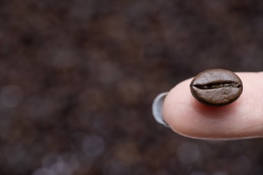 Yakın plan kahve çekirdeği parmak uçlarında dengelenmiş ve arka planda bulanıklık var. Yaratıcı markalaşma, reklam ve modern kahve kavramları için idealdir.