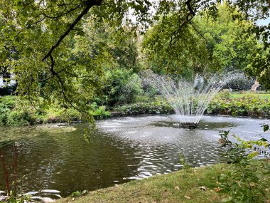 Belçika 'nın Brasschaat kentindeki huzurlu bir parkta, yemyeşil bir çayırla çevrili dekoratif bir su çeşmesi bulunan pitoresk bir gölet bulunuyor. Sarkık ağaç dalları tarafından gölgelenen huzur ortamında,