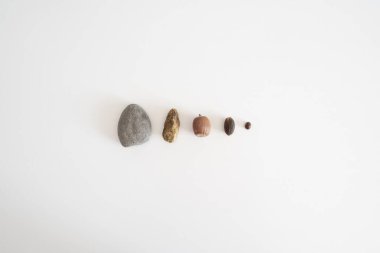Beyaz arka planda, boyut sırasına göre sıralanmış doğal nesnelerden oluşan minimalist bir kompozisyon. Koleksiyonda pürüzsüz gri bir taş, desenli bir mineral ve...
