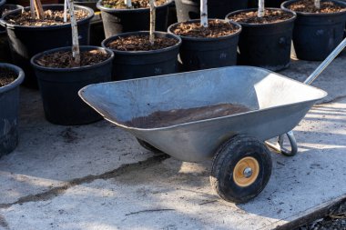 İyi kullanılmış, yıpranmış bir yüzeyi olan metal bir el arabası bitkilerle dolu siyah plastik kapların yanında duruyor. Sıcak güneş ışığı metalin dokusunu ön plana çıkararak kırsal ve doğal bir yapı oluşturur.