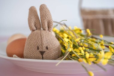 Doğal kumaştan yapılmış el yapımı bir Paskalya tavşanı taze yumurta ve pastel renkli arka planda sarı çiçeklerin yanında oturuyor. Kırsal, çevre dostu tasarım, bayrama sıcaklık katıyor.