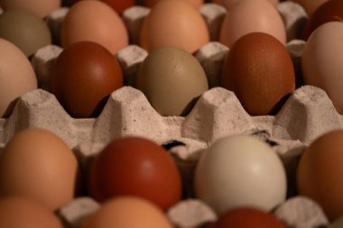Close-up view of a carton filled with eggs in various natural shades, including brown, white, and green. The diverse hues highlight the beauty of farm-fresh, organic eggs. Ideal for themes related to