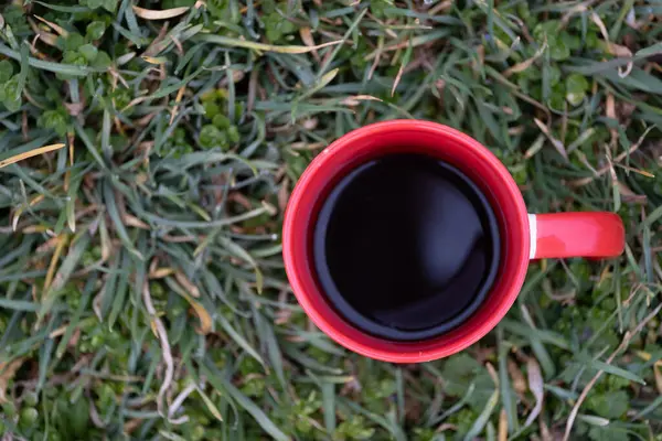 Sade kahveyle doldurulmuş, taze yeşil çimlerin üzerine yerleştirilmiş parlak kırmızı kahve fincanının yukarıdan aşağı görüntüsü. Kupa ve doğal arkaplan arasındaki canlı karşıtlık bu resmi görsel olarak çarpıcı kılıyor