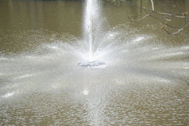 Sakin bir göletin ortasında yukarıya doğru fışkıran bir çeşmenin yakın çekim görüntüsü. Güneş ışığı su damlacıklarına yansıyarak dinamik ve ferahlatıcı bir atmosfer yaratır. Sağlıkta kullanmak için ideal