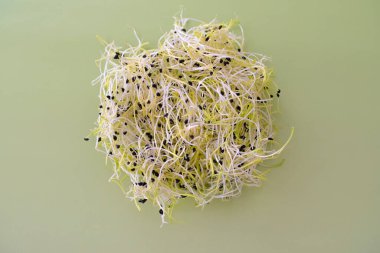 Açık yeşil arka planda taze yonca filizlerinin üst görüntüsü. Görüntü, doğal dokuları, sağlıklı beslenmeyi ve organik gıda kavramlarını ön plana çıkarıyor. Bitki temelli diyetleri, vejetaryen yaşam tarzını, süper yiyecekleri ve doğal büyümeyi resmetmek için mükemmel.