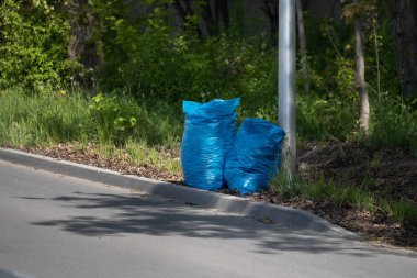 Yol kenarında çimenli bir kenarın yanında iki parlak mavi çöp torbası duruyor. Atık yönetimi, kamu hizmetleri veya bahar temizleme görselleri konularına uygundur.