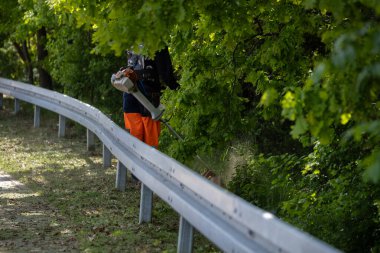 Bir yol bakım işçisi yapraklı ağaçların altındaki korkuluk boyunca otları buduyor. Peyzaj, şehir işleri veya yeşil altyapı çalışmaları için iyi bir örnektir..