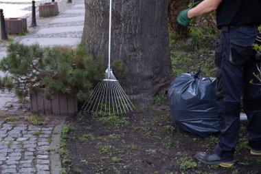 Siyah iş kıyafetleri ve yeşil eldivenli biri şehir parkını metal tırmık ve çöp torbasıyla temizliyor. Sahne, mevsimlik bahçe bakımını bir ağaç ve kaldırım kenarındaki aletlerle gösteriyor. Peyzaj, bahar temizliği ve sürdürülebilirlikle ilgili konular için ideal, 