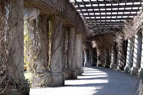 İlkbaharın başlarında kuru tırmanma bitkileriyle kaplı kavisli taş sütunlar, patikaya geometrik gölgeler bırakıyor. Mimari altyapı, bahçe tasarımı, tarih temalı içerik veya mevsimsel geçişler için mükemmel.