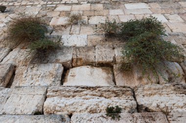 İsrail 'in Eski Kudüs şehrindeki Batı Duvarı' nın alçak açılı görüntüsü. 