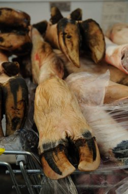 Closeup of a severed, white-haired, split hoof of a cow's foot at a butchery in Israel. 