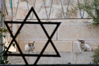 Two dirty,  feral kittens sitting on a stone wall in Jerusalem, including one framed by a silhouette of a large, metal Star of David. clipart