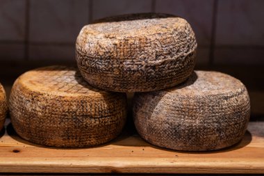 Koyun sütünden yapılmış büyük İtalyan pecorino peyniri tekerlekleri. 