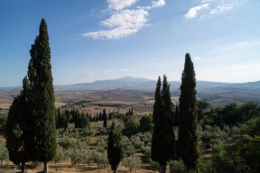 İtalya 'nın orta kesimindeki Toskana bölgesinin manzarasını karakterize eden zeytin ve selvi ağaçlarıyla kaplı klasik yuvarlanan tepelerin manzarası. 